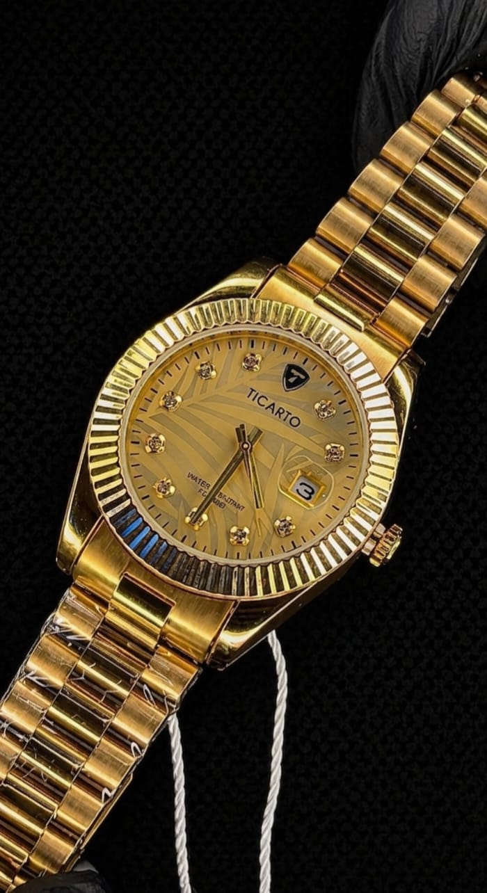 TICARTO LUXURY STAINLESS STEEL WATCH